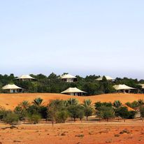 Al Maha, Luxury Collection Desert Resort